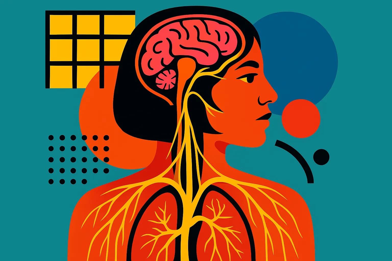 Regulation of the Nervous System: Why Everyone is Talking About the Vagus Nerve
